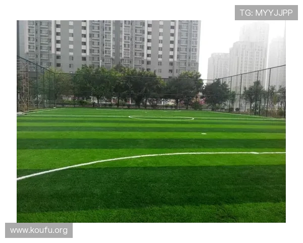 球盟会体育下载最新功能介绍，丰富赛事内容满足不同用户的观看需求