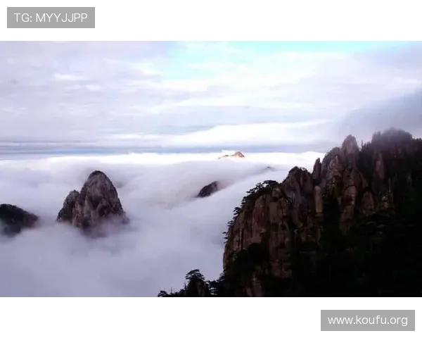 千亿像素看世界网站让你足不出户体验世界各地的高清自然风光与文化遗产